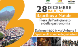 baucibus a natale